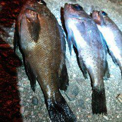 向かい風はしんどい